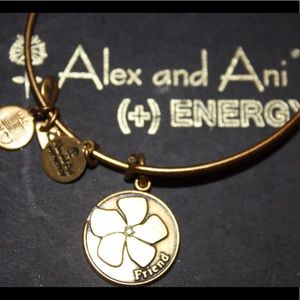 Alex and Ani Friendship Bracelet